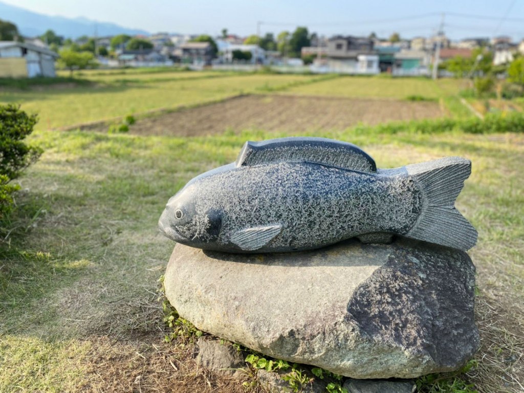 2022平塚大崎鯉のぼり