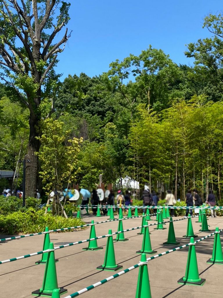 上野動物園のパンダ舎の列