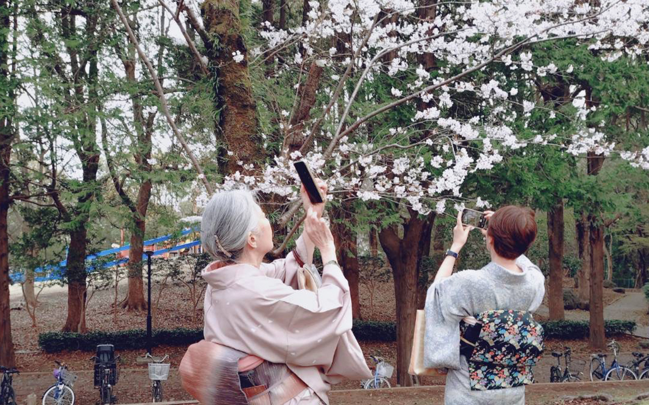 着物姿で湘南を歩く様子